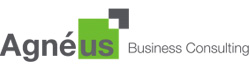 Agnéus Business Consulting